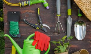 basic tools for gardens