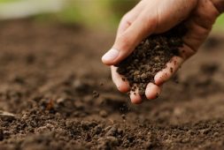 prepare-the-soil-for-plants